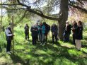 Une étape du Chemin de Croix
